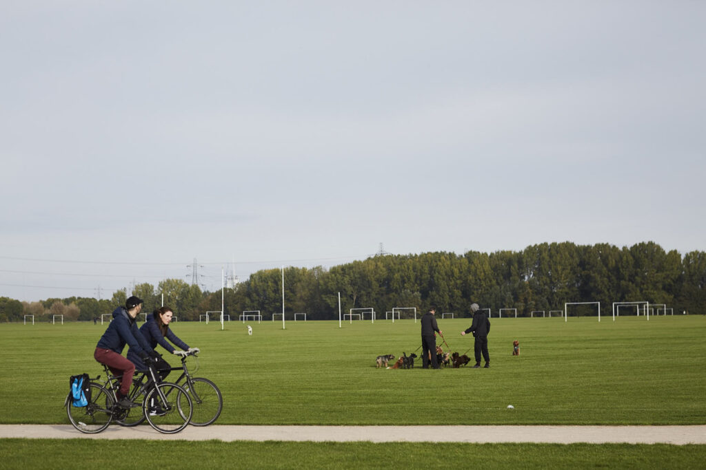 2 cyclists and 2 dog walkers with lots of dogs in a park.