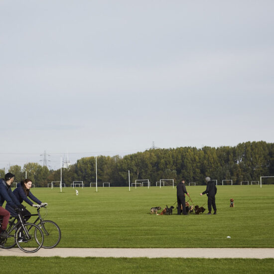 2 cyclists and 2 dog walkers with lots of dogs in a park.