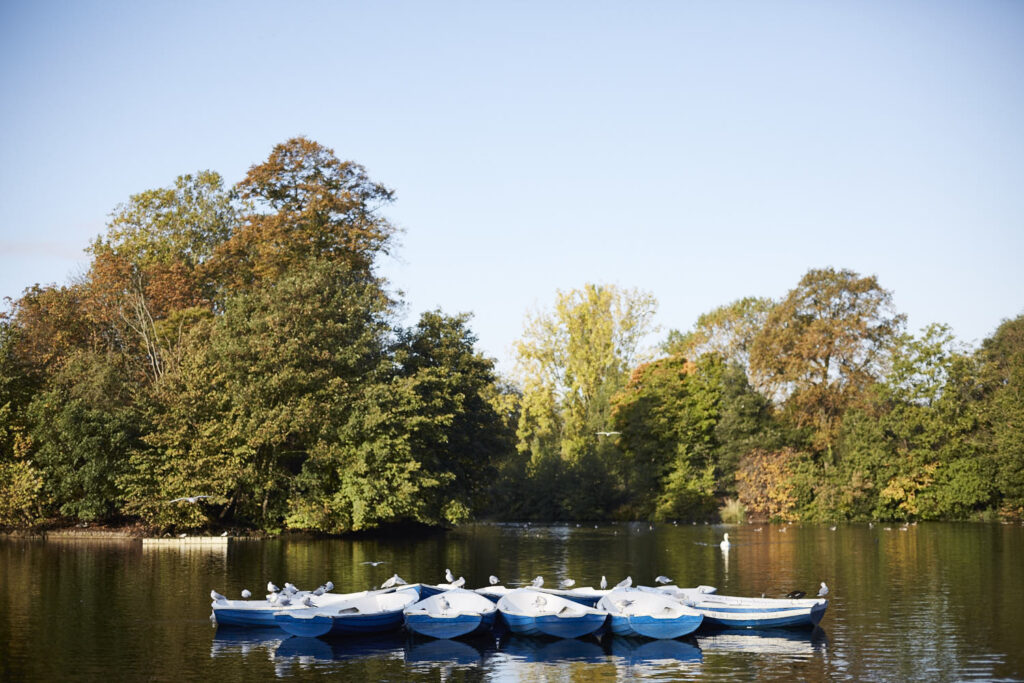 Birds sitting on canoes on the lake in Victoria Park, Hackney London.
