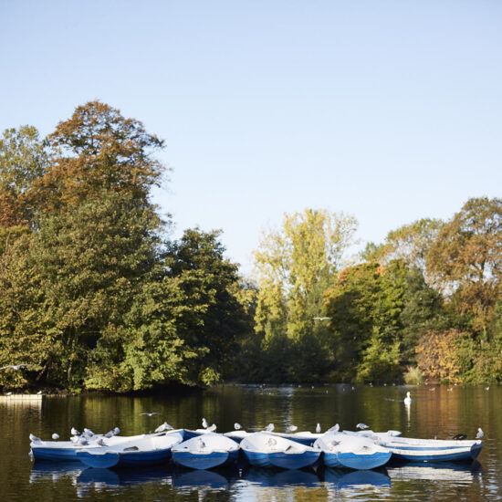 Birds on canoes in the lake in Victoria Park, Hackney